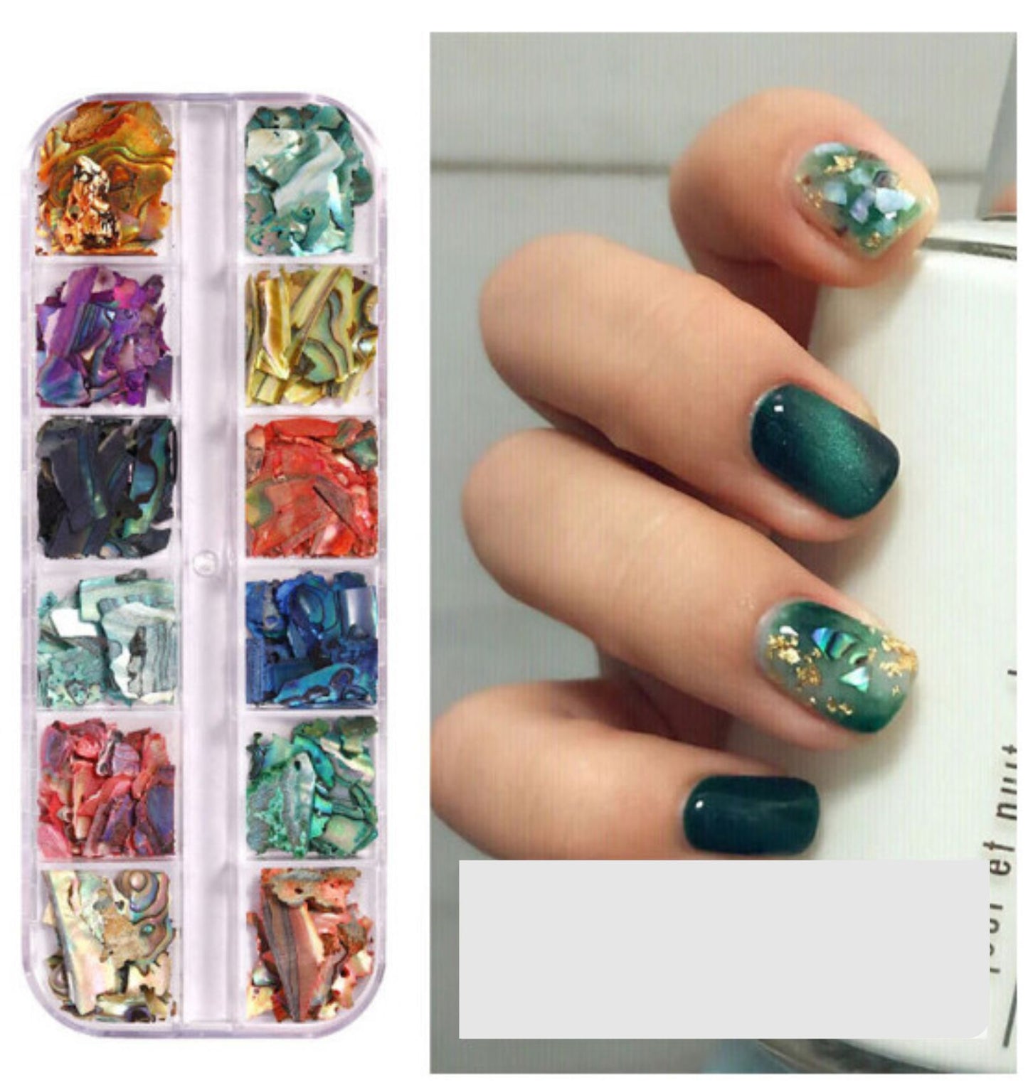 Shell Nail Decoration 12 grid