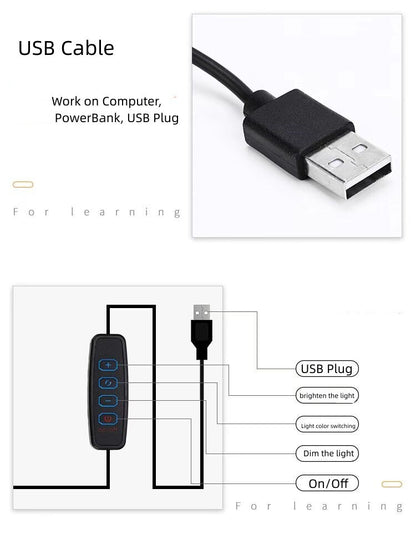 Work Station Clip Lamp Long Straight 7W USB Cable